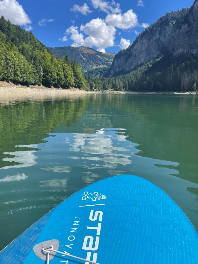 Apartmán La Chaumine Montriond Exteriér fotografie